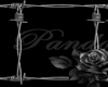 Friends border