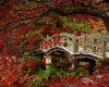 Fall background