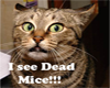 i see dead mice