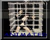 Silver Slave Cage