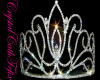 ~CCF~T.ExquisiteTulipT