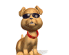 ~ Animated Cool Dog ~