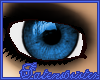 *S* iReal - Sky