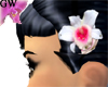 Velvet Orchid Diamond