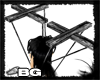 *BG* Stone Cold Strings
