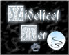 Videlicet Aer