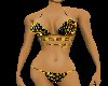 CA YellowBlack Animated