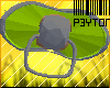 [P]Grey&Green Pacifier
