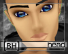 [BH]Stefan Head