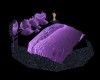 G&B imagination PurpleB2