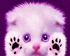 Purple kitty kisses