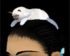 Darling Headkitten