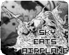 sky eats airplane