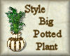 [my]Style Big Plant