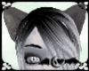 Brown Tan Anim Cat Ears