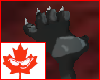 Black Fox Paws