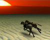 Horses at Dusk