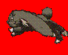 RyoOhki running