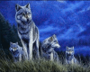 wolf pack