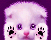 my baby putitonme