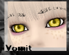 [Rave] Rawrr`s Eyes