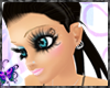 (�) Black Beauty ~ Nova