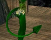 M's Plain Green Tail