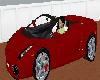 shys car