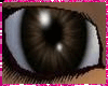 Brown Female Eyes