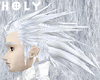 Very Silver Shining Hair