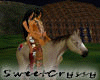 Cherokee War Horse