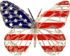 Patriotic Butterfly