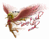 [ARG] Angel Pink
