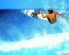 (TD) SURFER