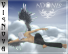[VN]ADONIS