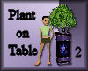 [my]Plant on Table 2