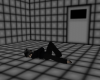 White padded cell