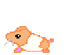 {lec} hammyster
