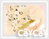 CaYzCaYz Cones~ChocChip