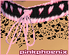 PPC Dots/Hea Lace Collar