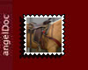 aD; western tack