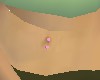 PINK BELLY RING