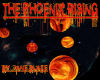 [JB]The Phoenix Rising