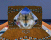 Missing Image