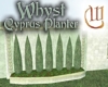 Whyst Cyprus Planter