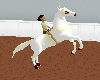 boytoy white horse(pet)