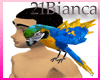 21b- nice Macaw