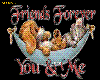 FRIENDS FOREVER