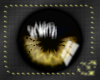 [H] Hazel Eyes F