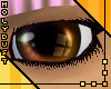 Noscere Eyes - Biscuit